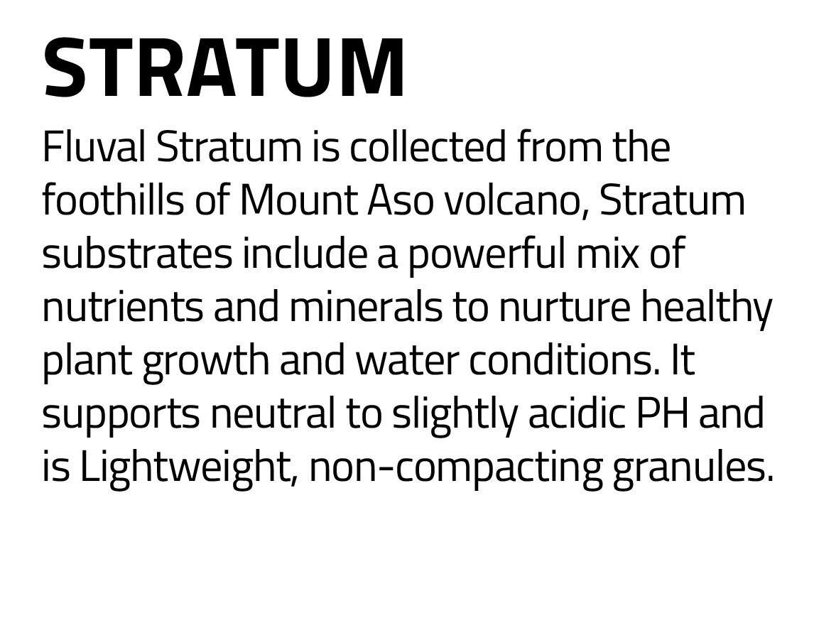 Stratum details