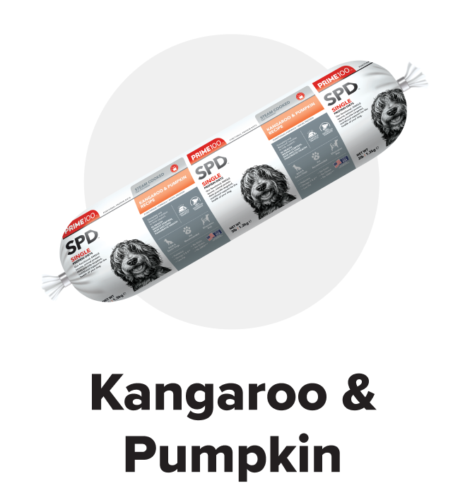 Kangaroo & Pumpkin