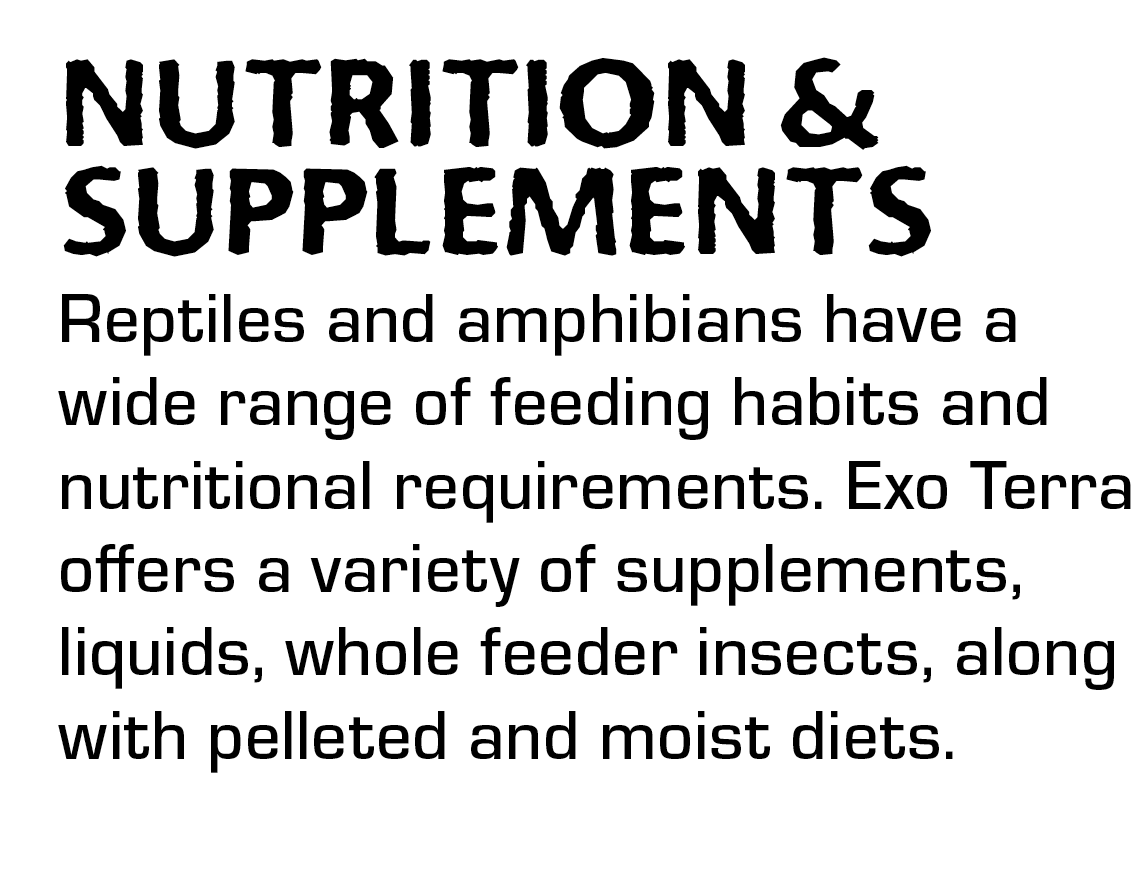 Nutrition details