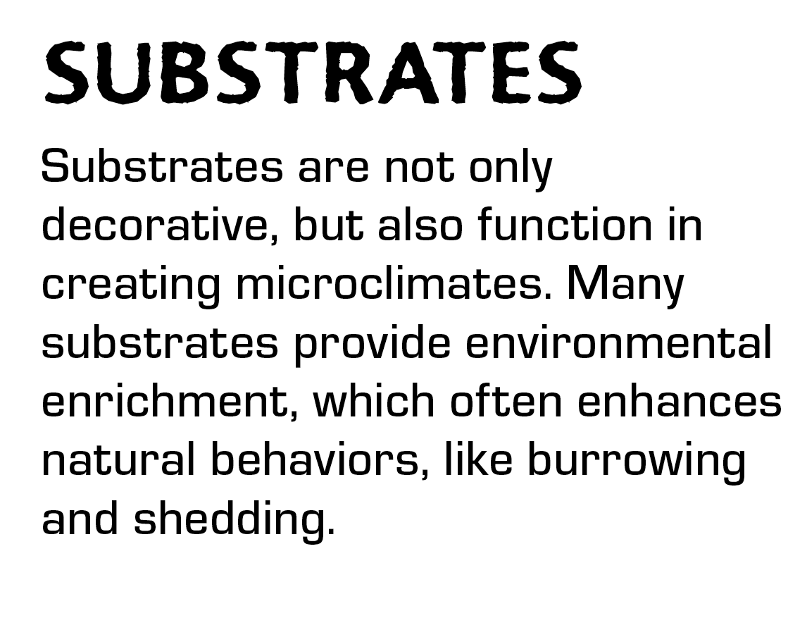 Substrates details