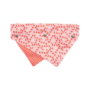 Fuzzyard Holiday Candy Cane Dog Bandana