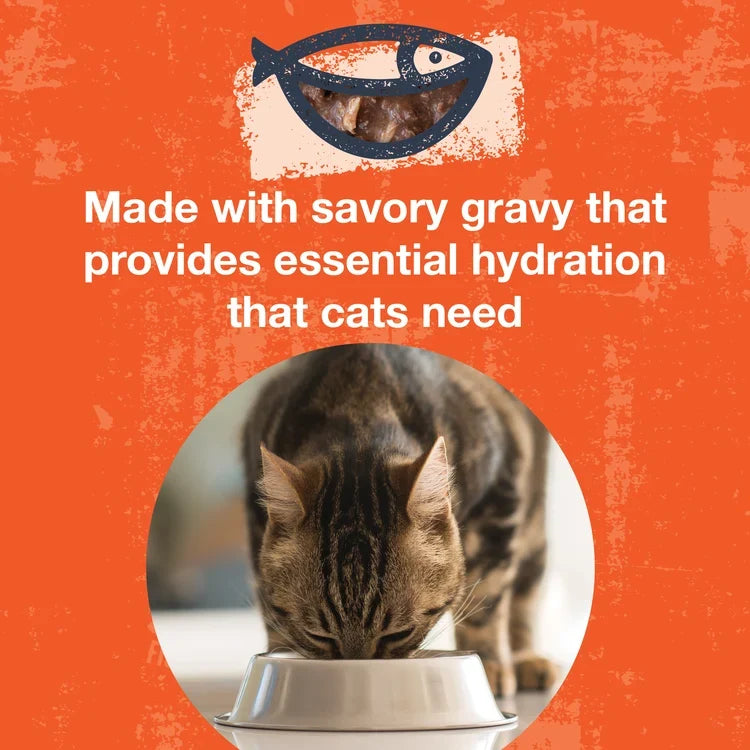 Koha Poke Bowl Tuna & Chicken Entrée in Gravy for Adult Cats