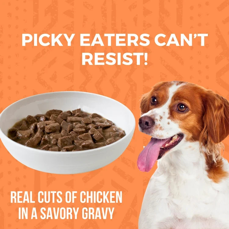Koha Minimal Ingredient Grain-Free Chicken Stew Canned Dog Food