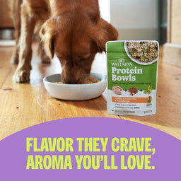 Wellness Protein Bowls Adult Whole Grains Beef, Potato & Green Beans Fresh Alternative Dog Food