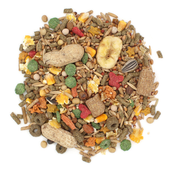 Sunseed Vita Sunscription Rat & Mouse Food 2 lb