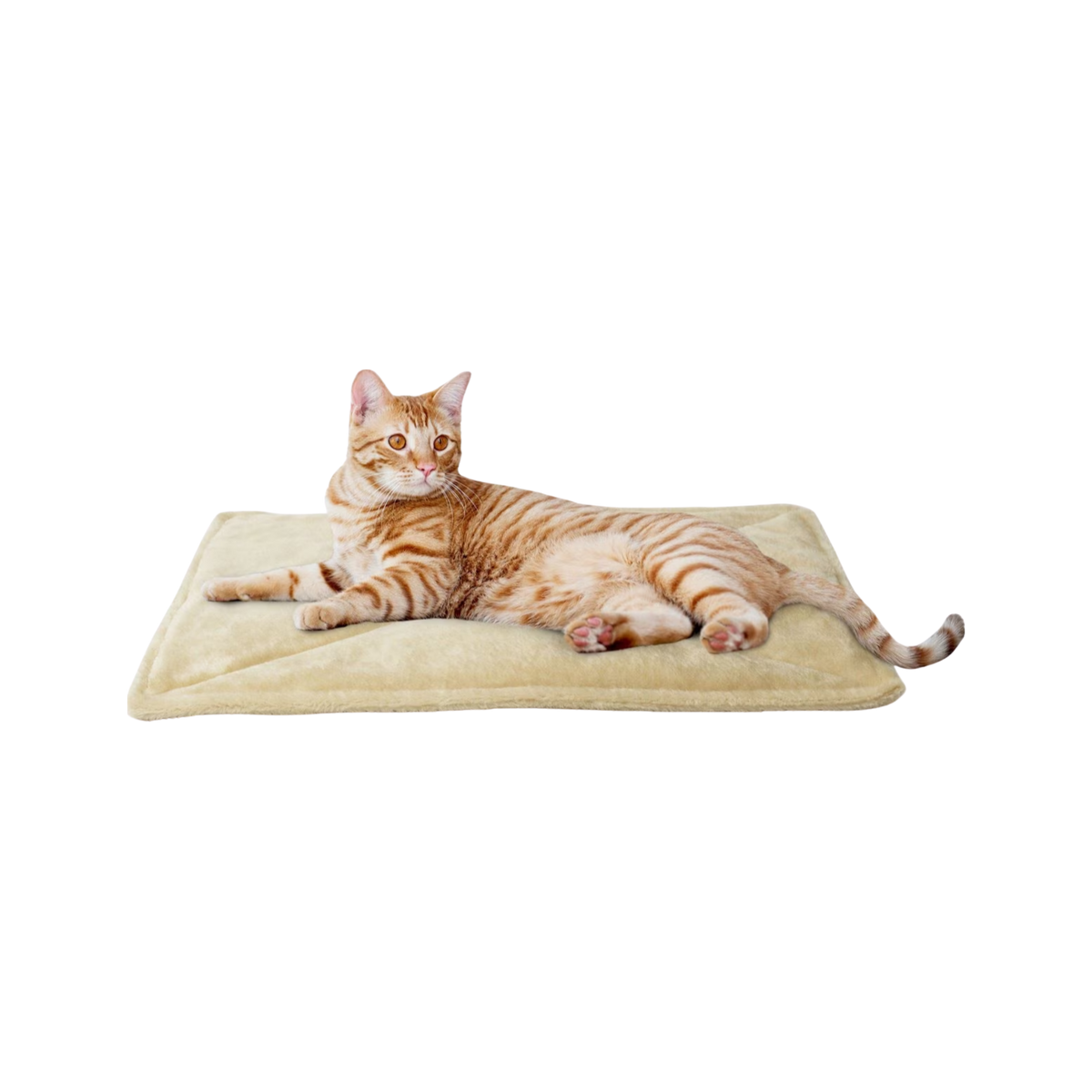 Furhaven ThermaNAP Self-Warming Pet Bed 22 x 17 in