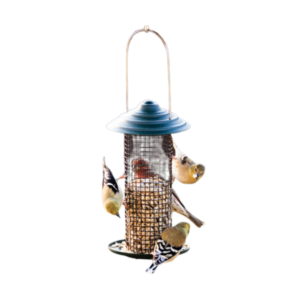 Audubon Mini Magnum Sunflower Wild Bird Feeder .75 lb