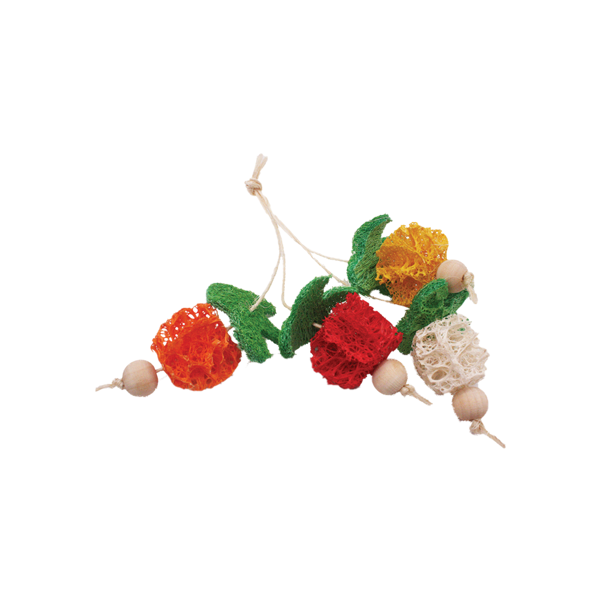 A&E Loofah Bunch of Fruits Small Animal Chew Toy