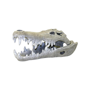 Blue Ribbon Nile Crocodile Skull Aquarium Ornament S