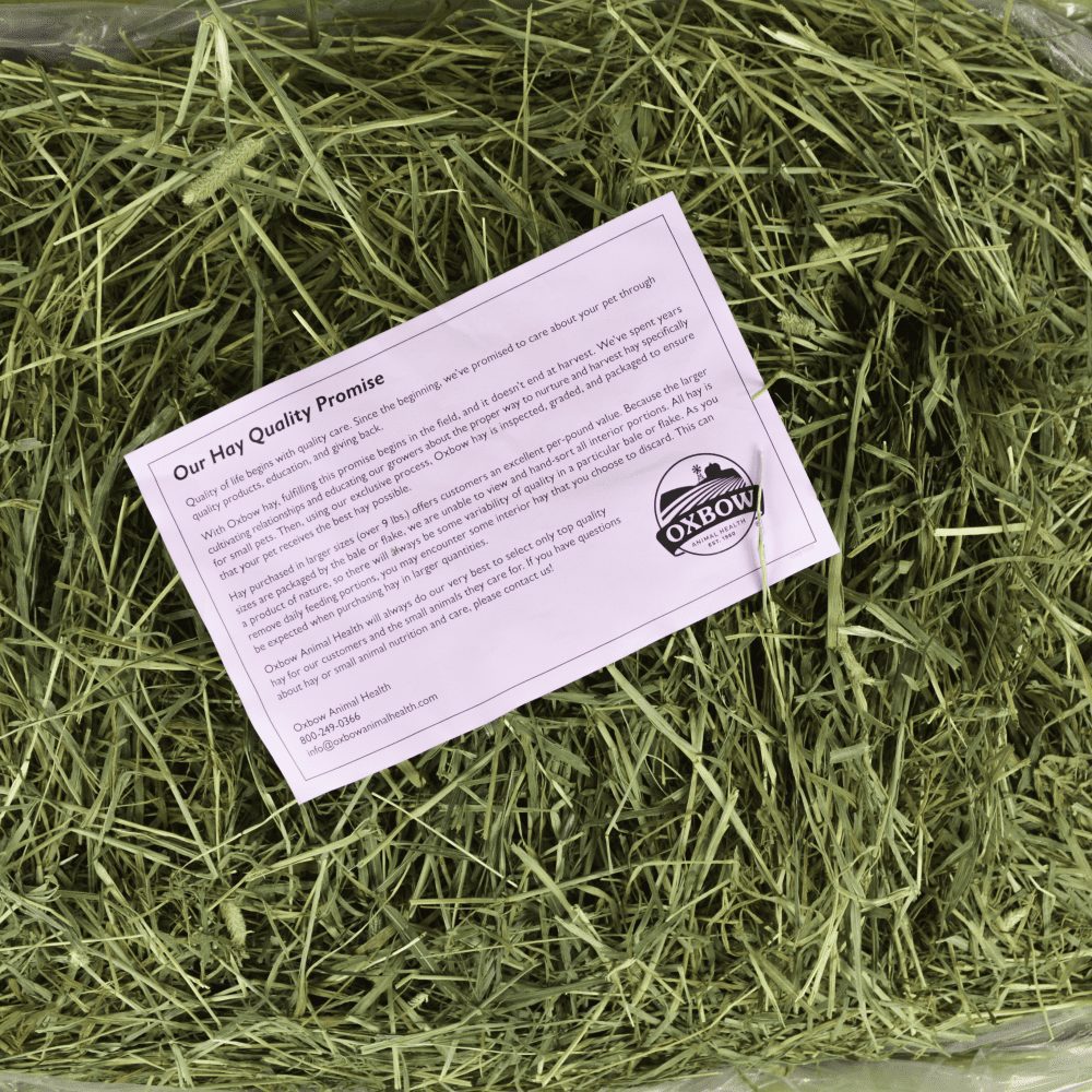 Oxbow Animal Health Western Timothy Hay