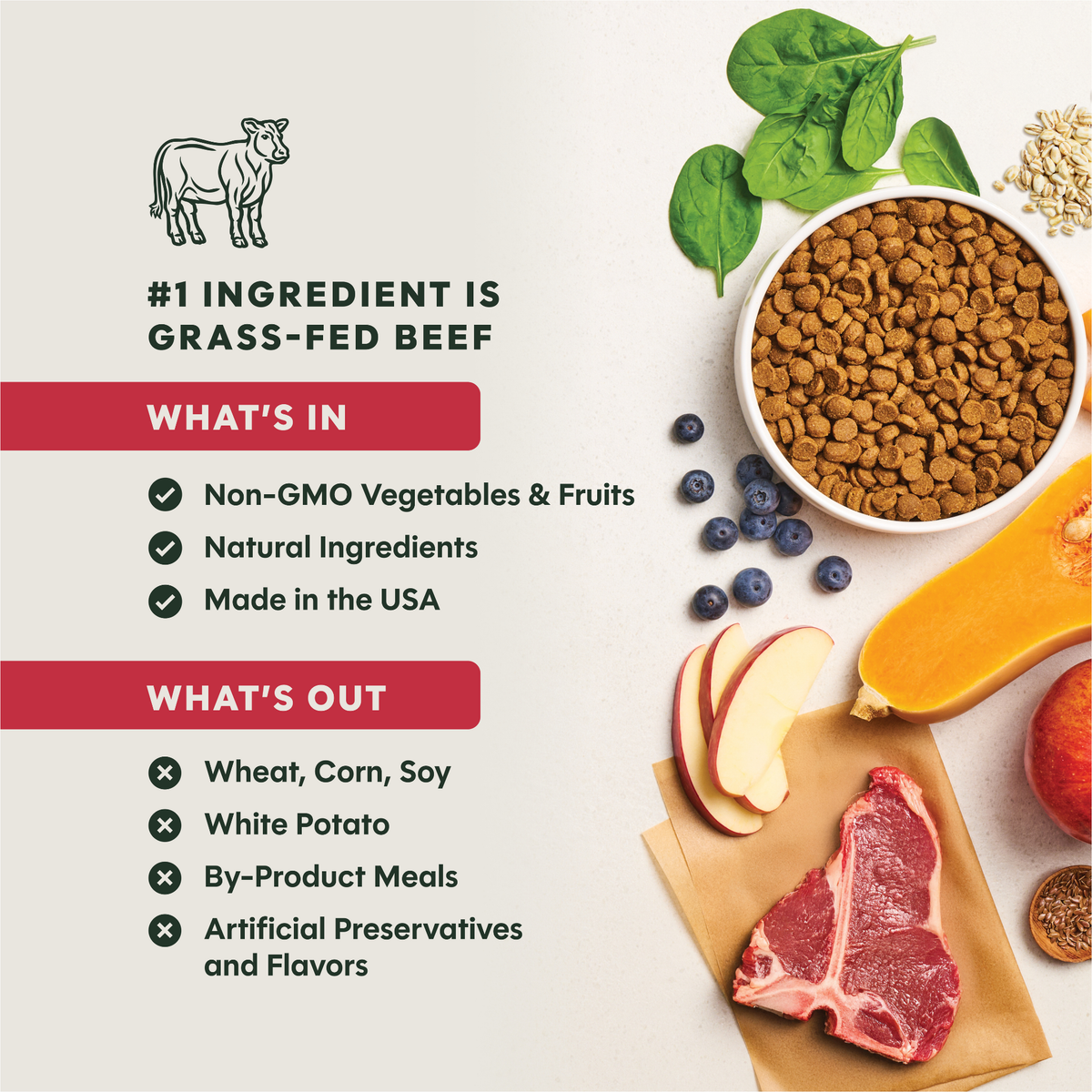 Instinct Be Natural Real Beef & Barley Recipe Freeze-Dried Raw Coated All Life Stage Dry Dog Food