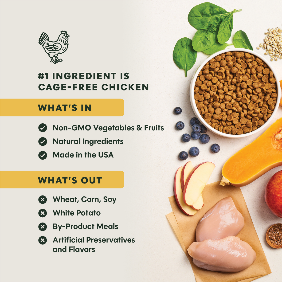 Instinct Be Natural Real Chicken & Brown Rice Recipe Freeze-Dried Raw Coated All Life Stage Dry Dog Food