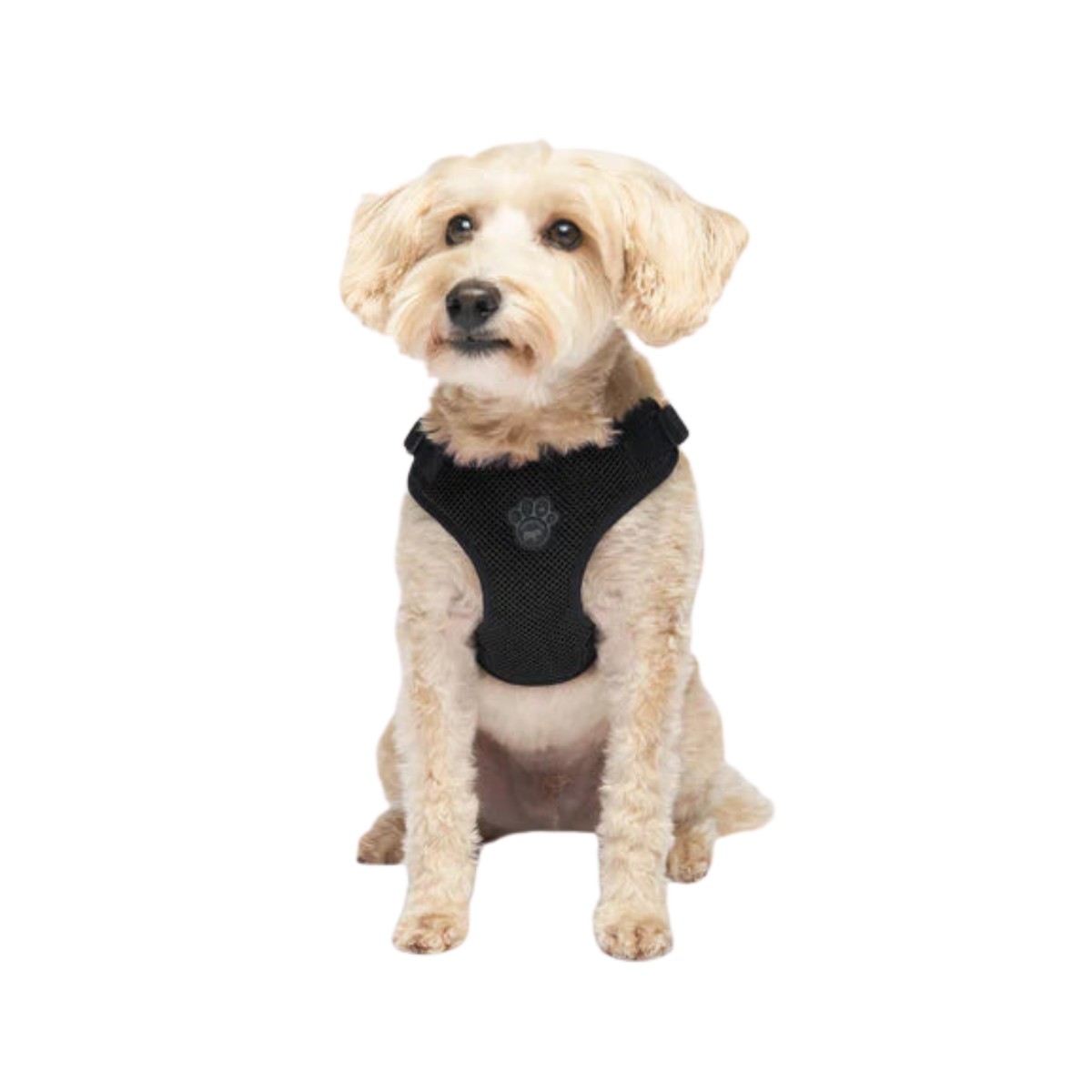 Canada Pooch Easy-On Step-In Dog Harness