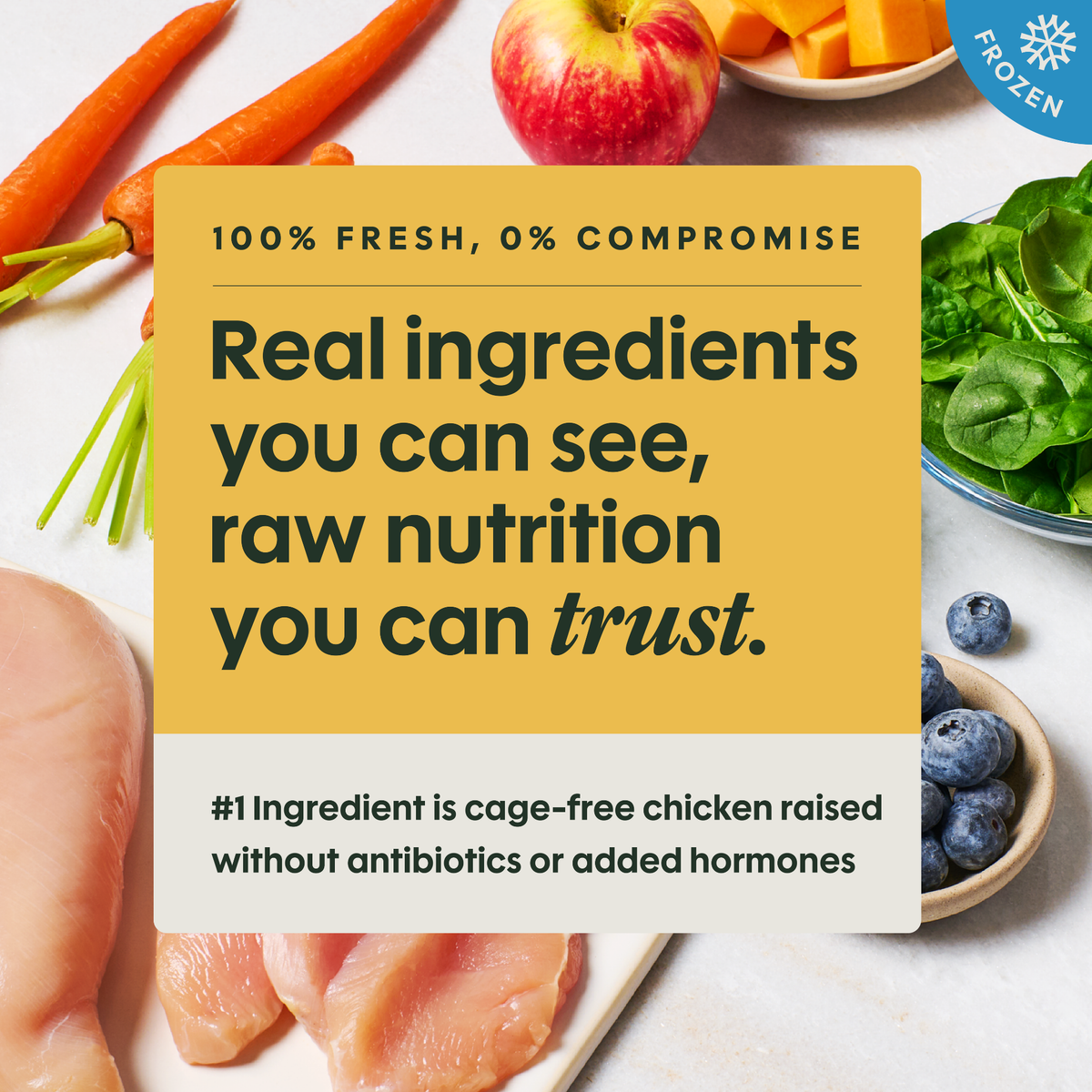 Instinct FreshRaw Meals Cage-Free Chicken Recipe Adult Dog Food 8 oz