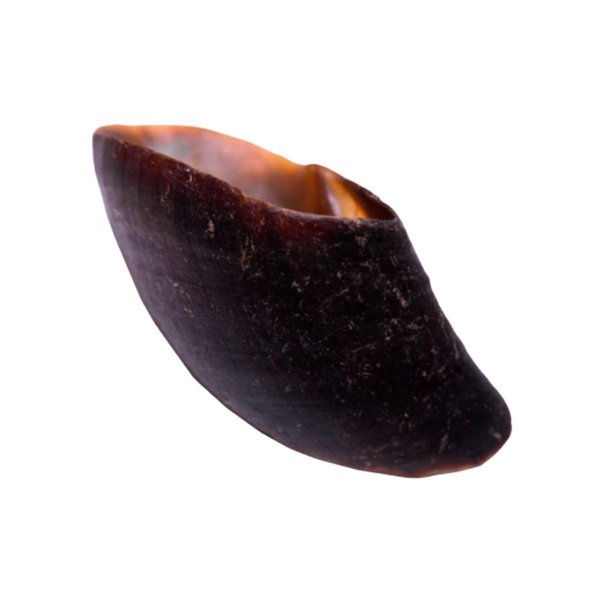 Natural Harvest Pet Products Cow Hooves each