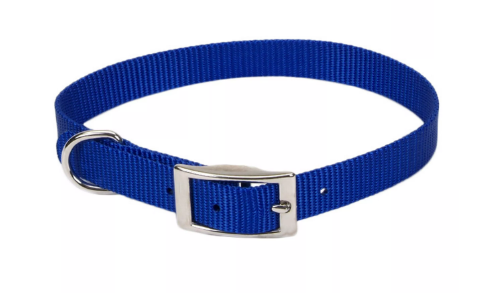 Coastal Pet Products Single Ply Nylon Dog Collar