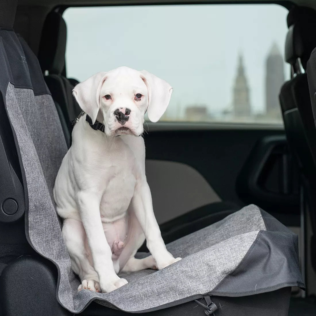 Bergan Auto Bench Seat Protector