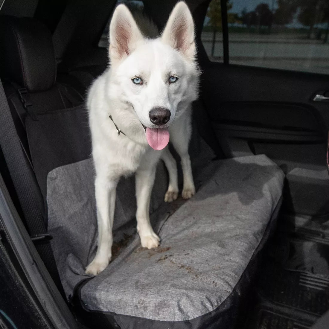Bergan Auto Bench Seat Protector
