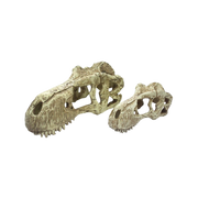 Incredipet T-Rex Skull Reptile Terrrarium Ornament