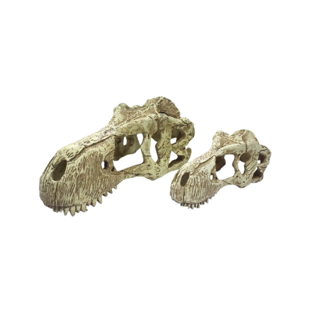 Incredipet T-Rex Skull Reptile Terrrarium Ornament