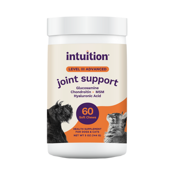 Intuition Level 3 Joint Support Soft Chew Health Supplement for Dogs & Cats 60 ct