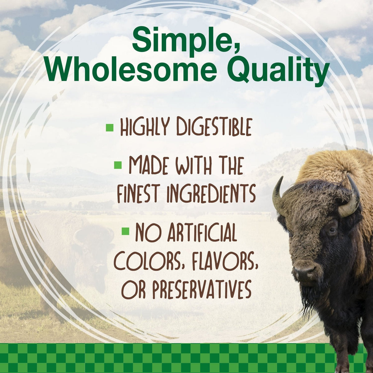 Healthy Edibles Wild With Real Bison Dog Bone Treat