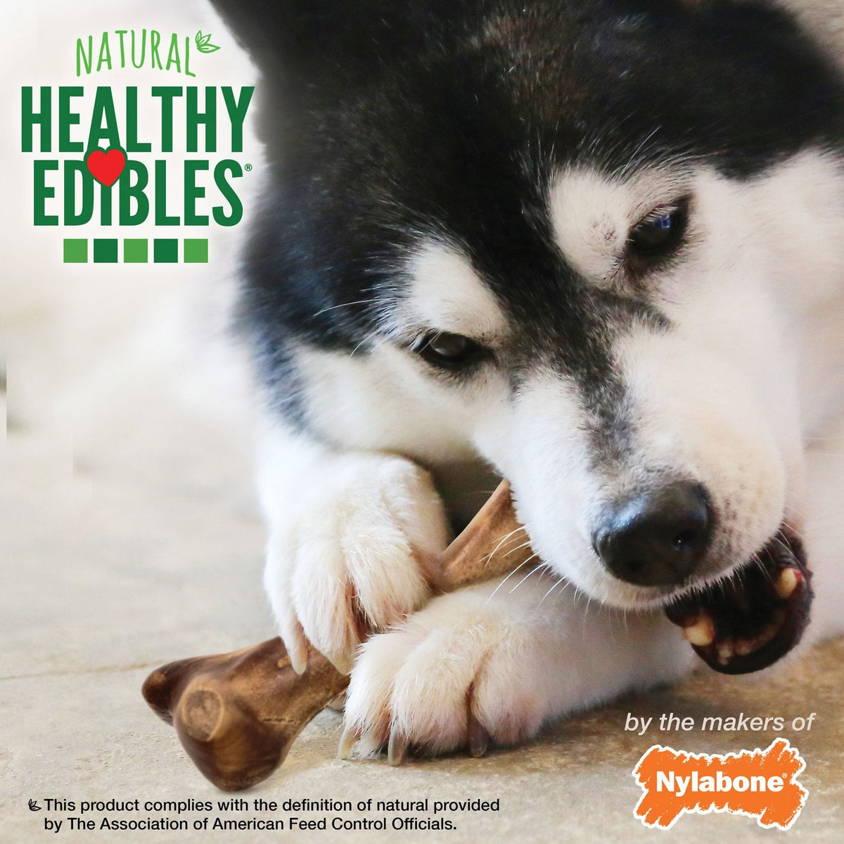 Healthy Edibles Wild With Real Bison Dog Bone Treat
