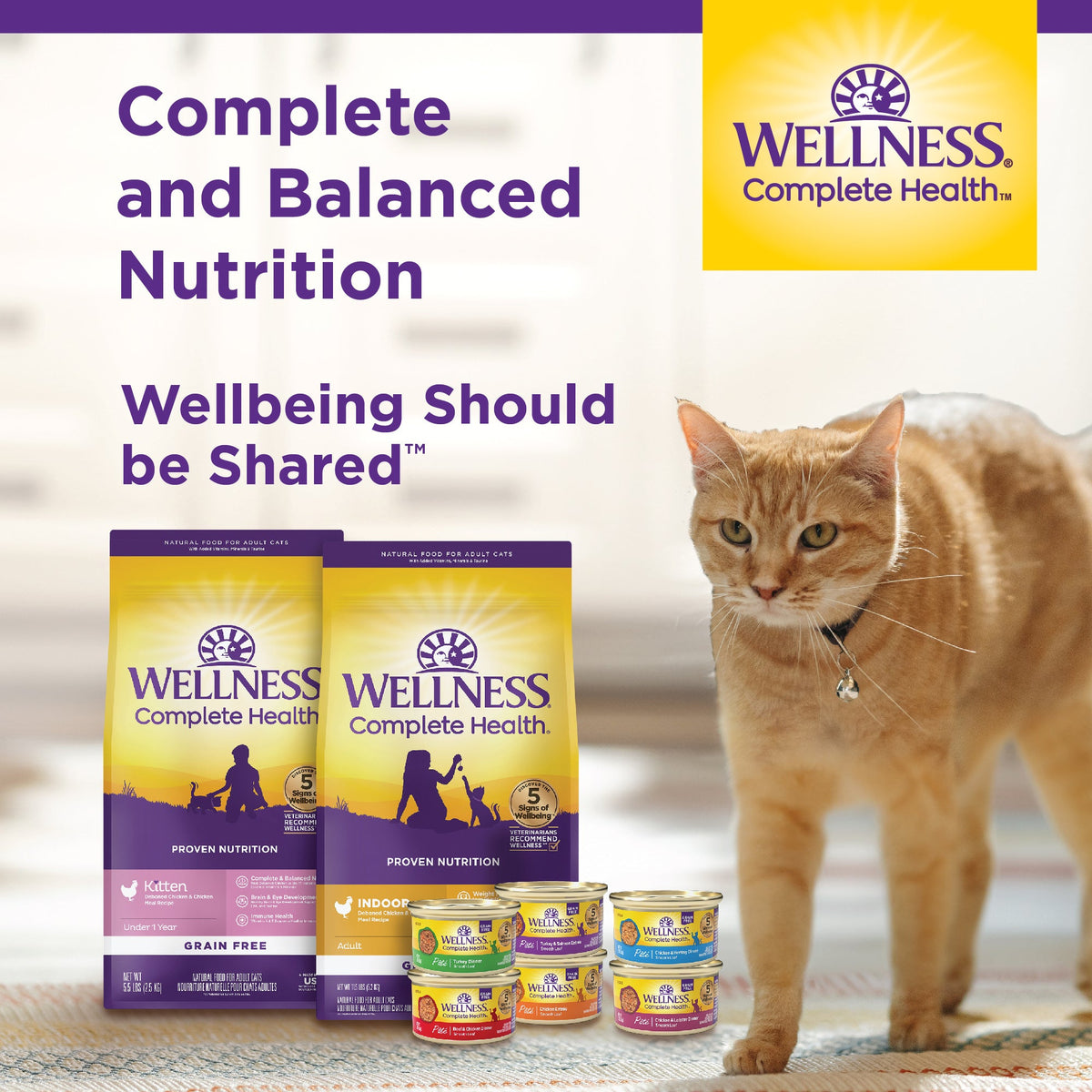 Wellness Complete Health Indoor Healthy Weight Chicken Recipe Grain-Free Dry Cat Food