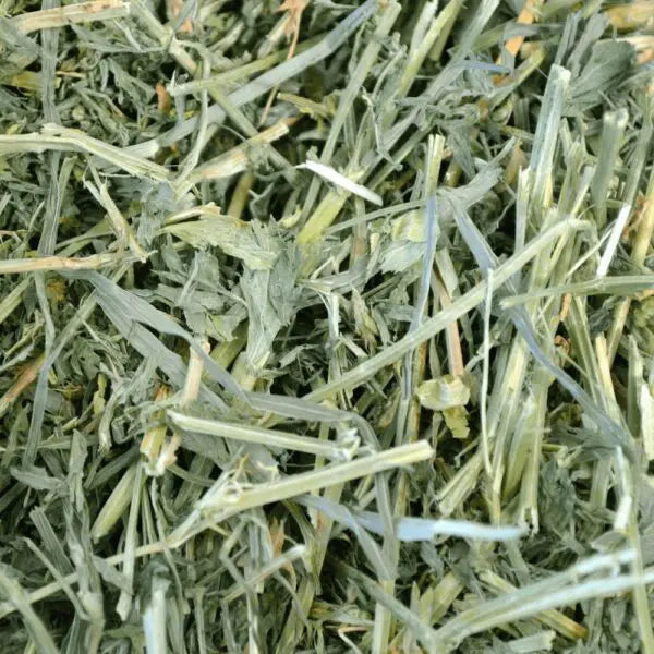 Oxbow Animal Health Alfalfa Hay 40 oz