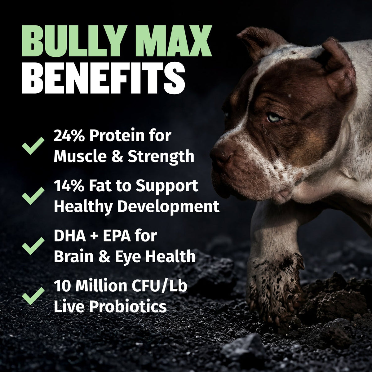 Bully Max 24/14 High Protein & Growth Puppy Formula Lamb Flavor Dry Dog Food