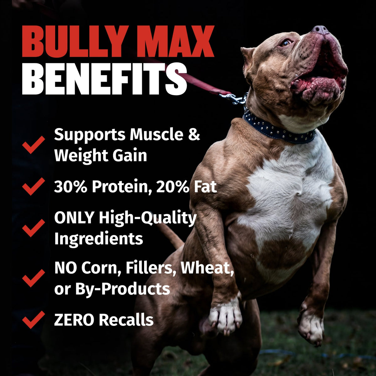 Bully Max 30/20 High Protein & Fat Beef Flavored Dry Dog Food