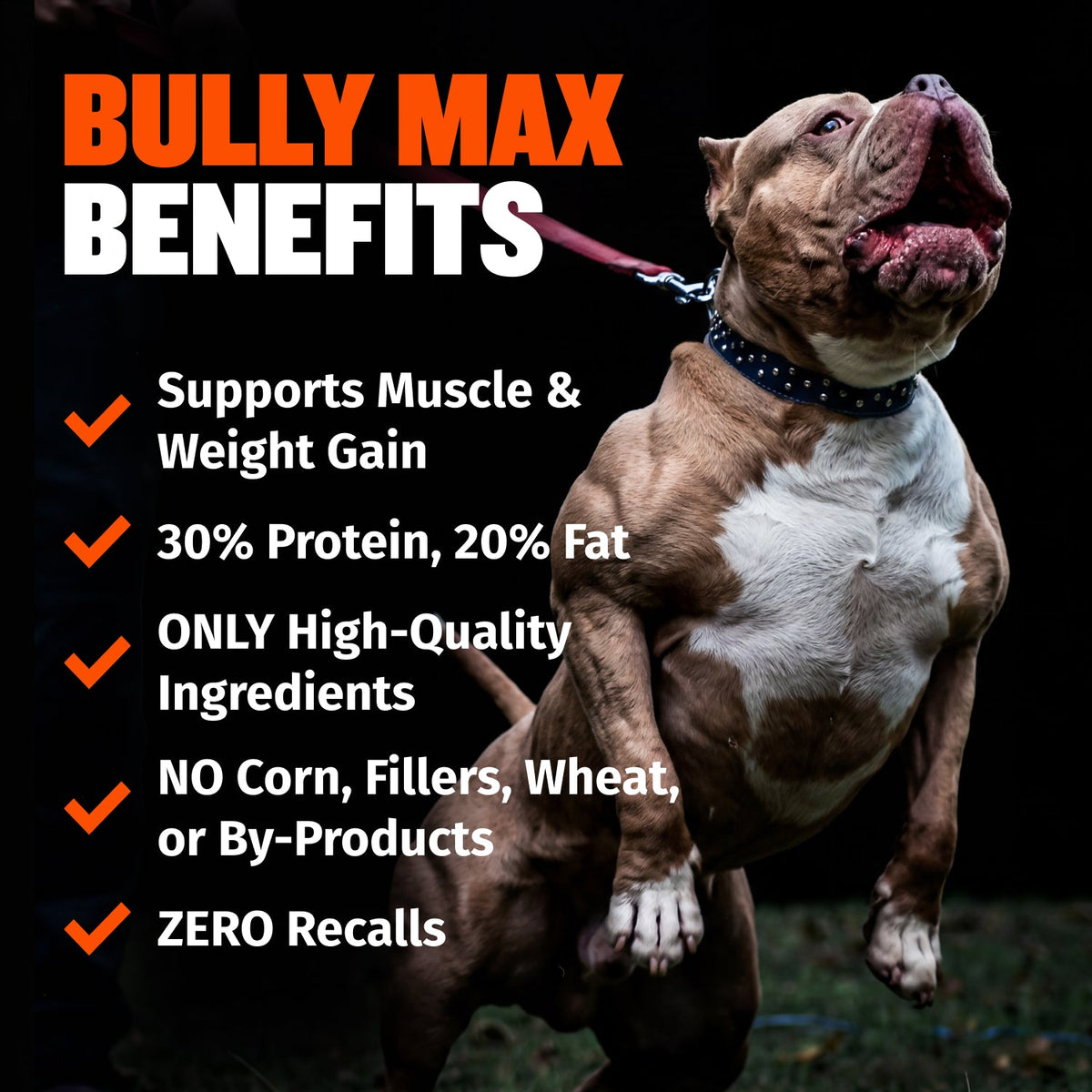 Bully Max 30/20 High Protein & Fat Chicken Blend Dry Dog Food