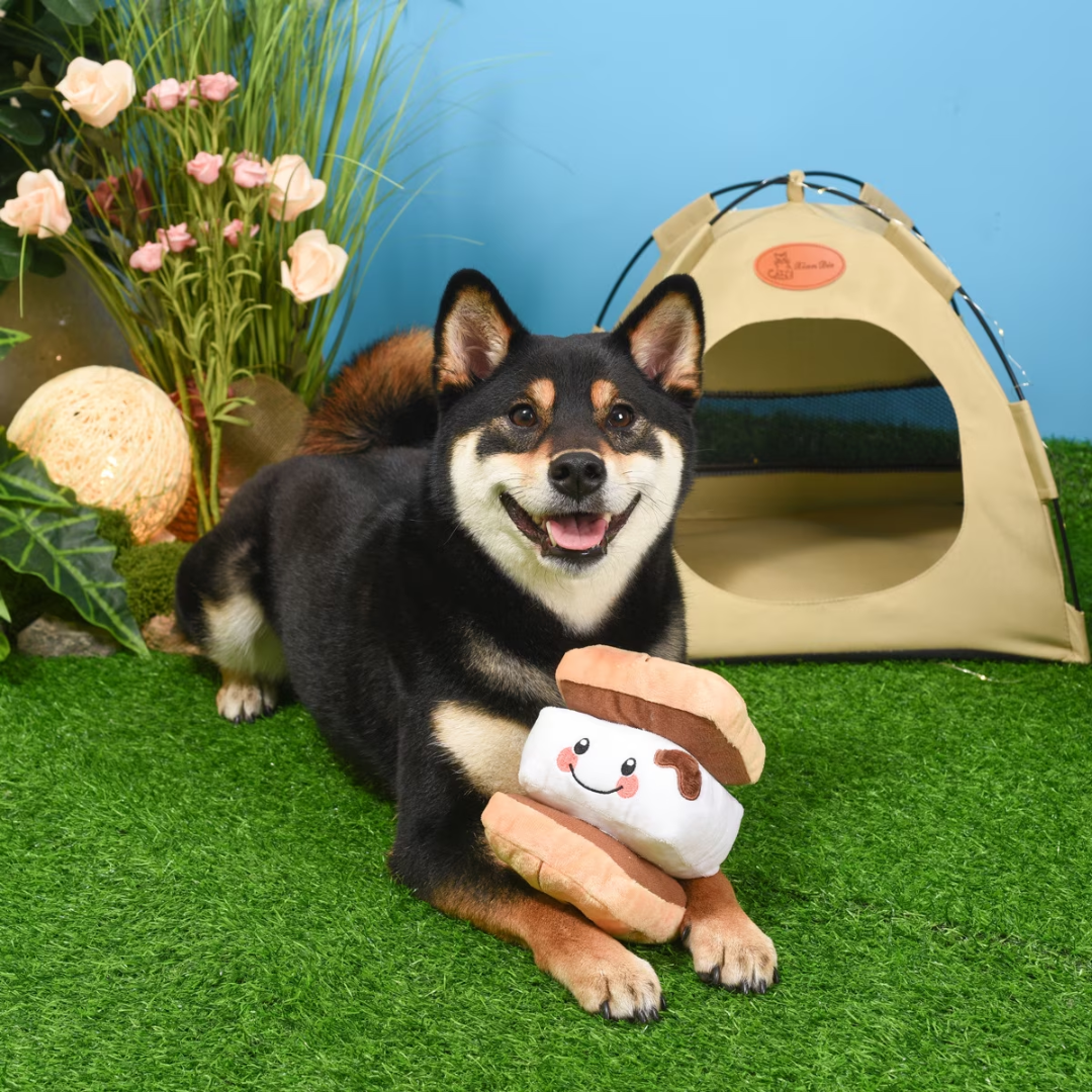 Hugsmart Camping Pups S' More Dog Toy