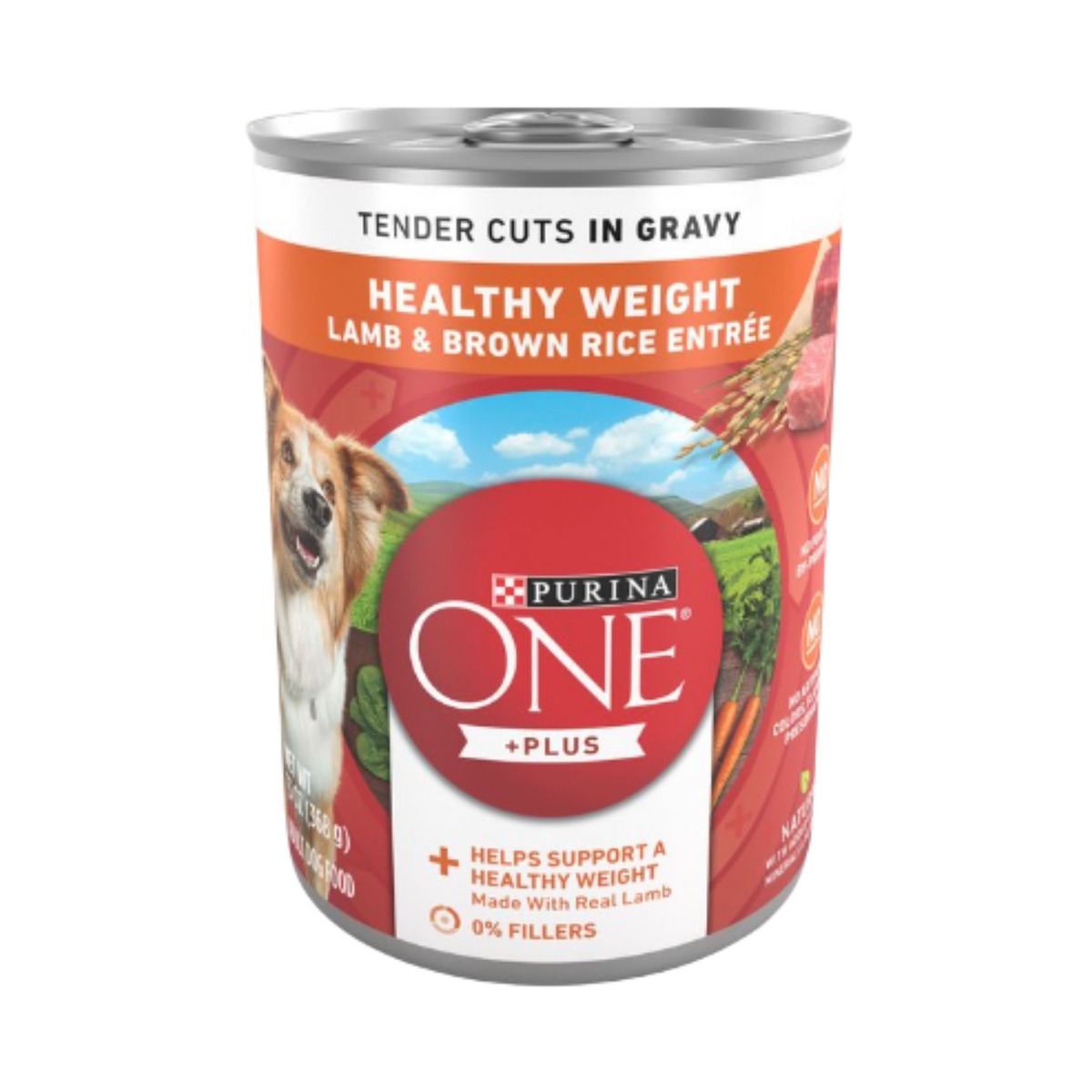 Purina ONE SmartBlend Healthy Weight Lamb & Brown Rice Entrée Canned Dog Food