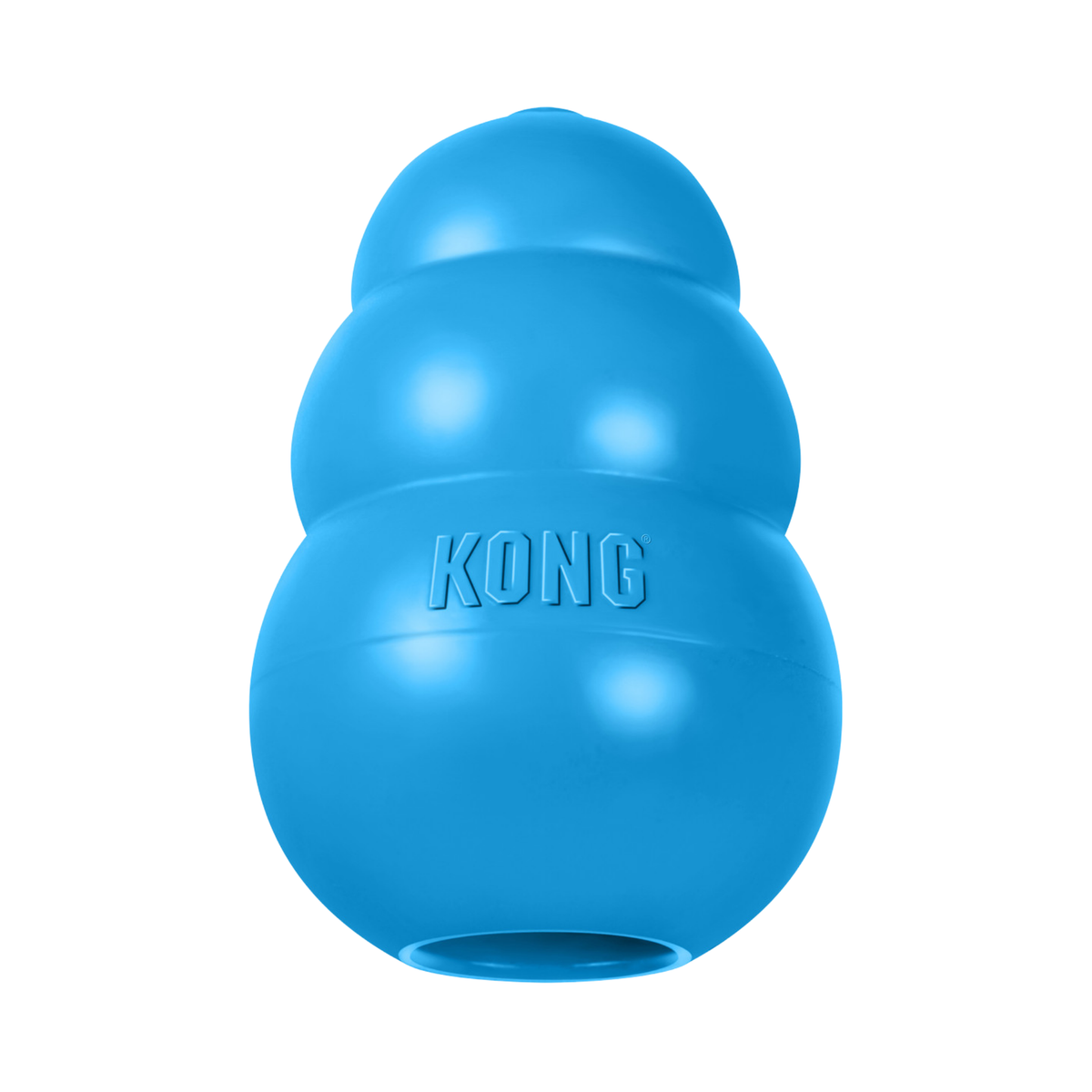 Kong Puppy Toy