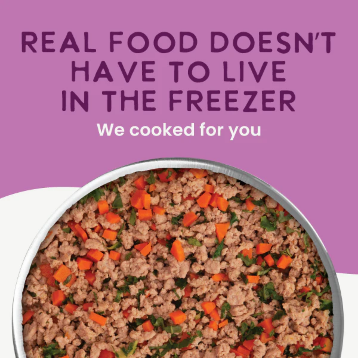 Health Extension Whole Foods Gently Cooked in Bone Broth Grain Free Duck & Kale Recipe Dog Food