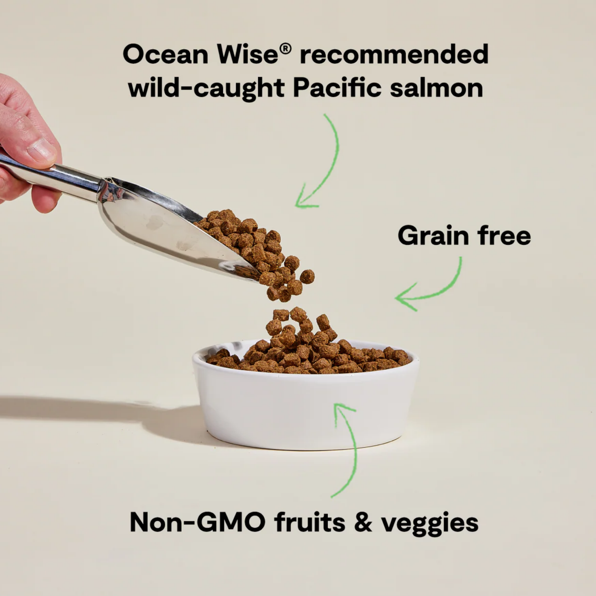 Open Farm Wild-Caught Salmon Grain-Free Dry Dog Food