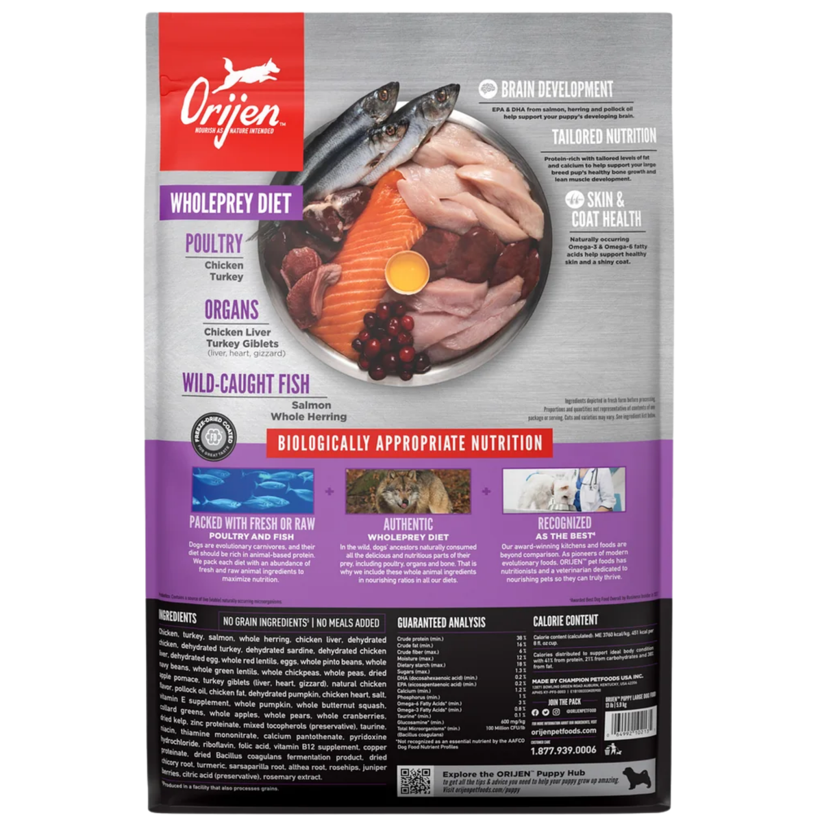 Orijen Large Breed Puppy Grain-Free Dry Dog Food 23.5 lb
