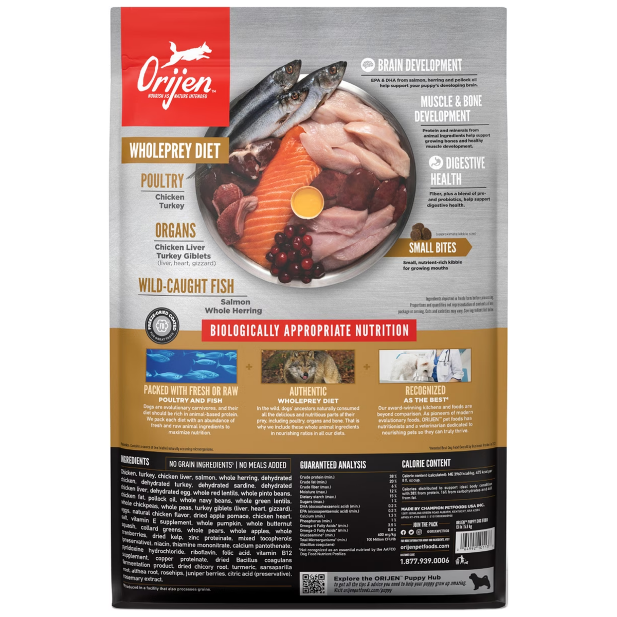 Orijen Puppy Grain-Free Dry Dog Food