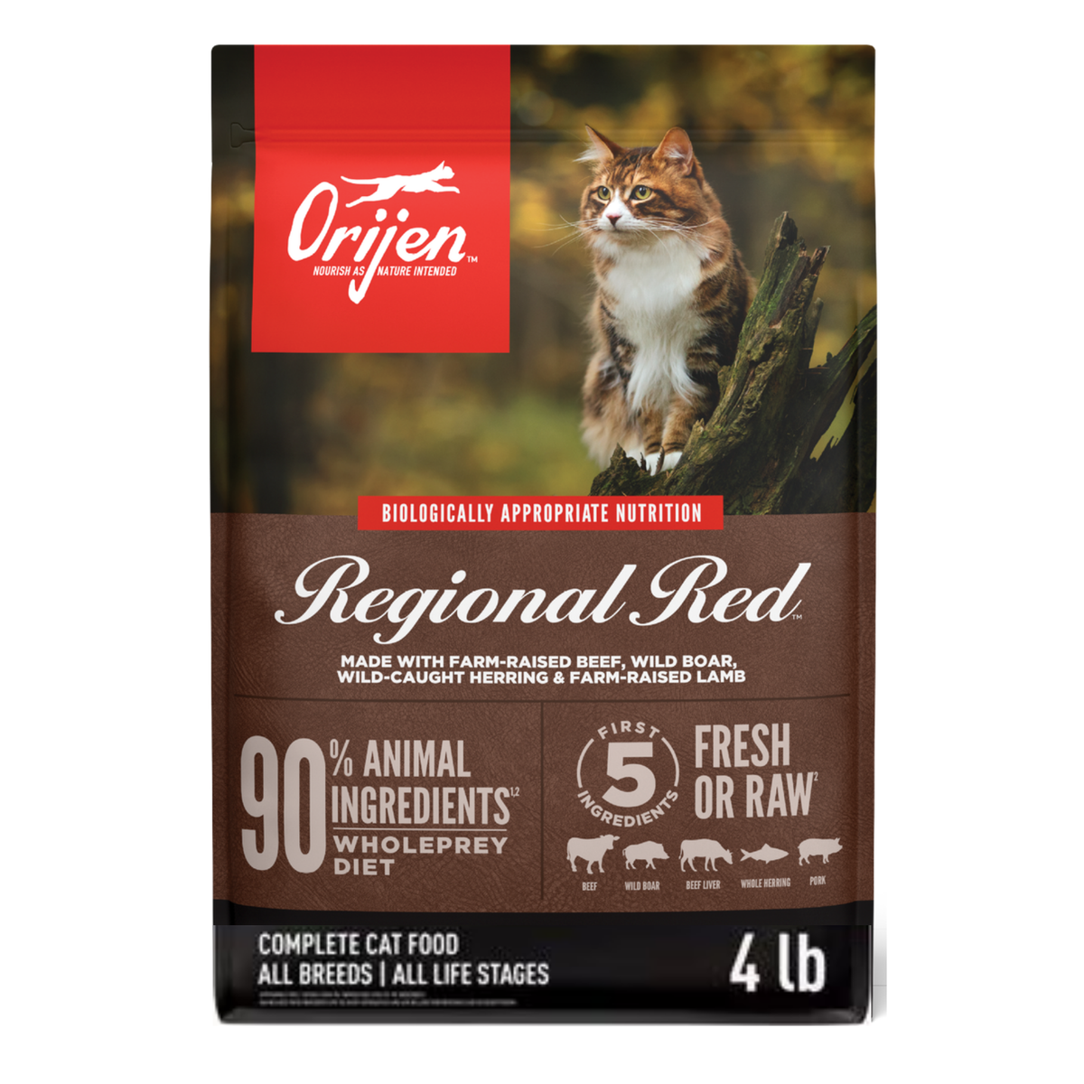 Orijen Regional Red Grain-Free Dry Cat Food 4 lb