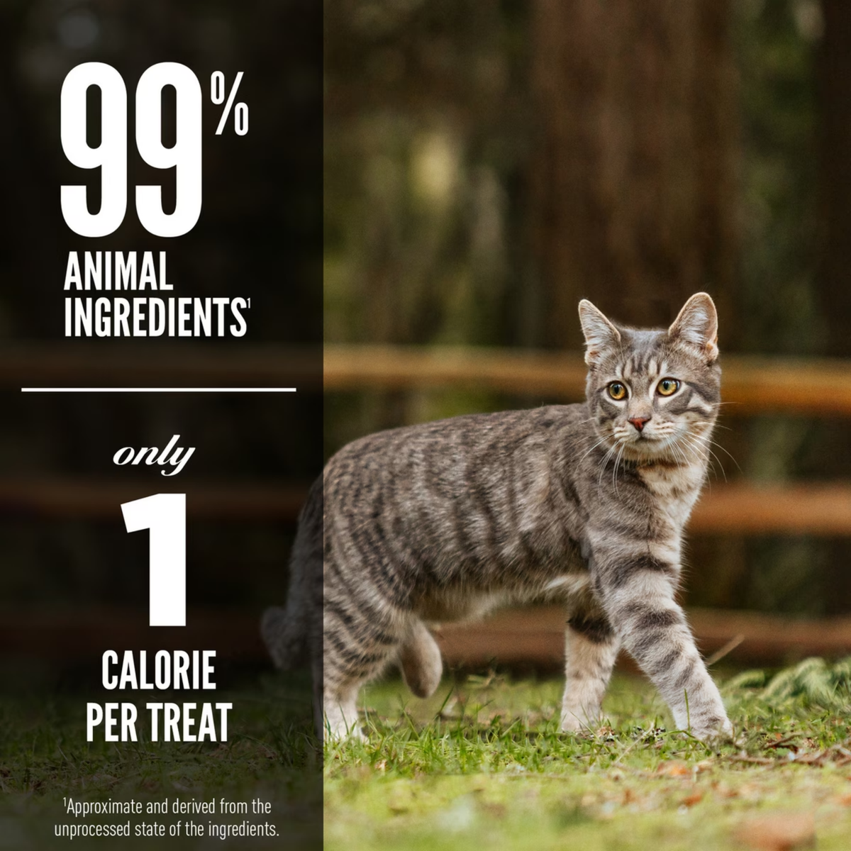 Orijen Biologically Appropriate Six Fish Freeze-Dried Cat Treats 1.25 oz