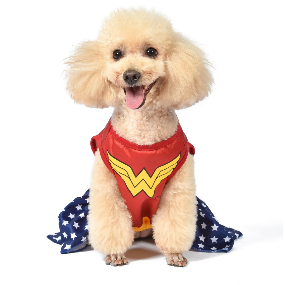 Fetch DC Comics Wonder Woman Dog Halloween Costume