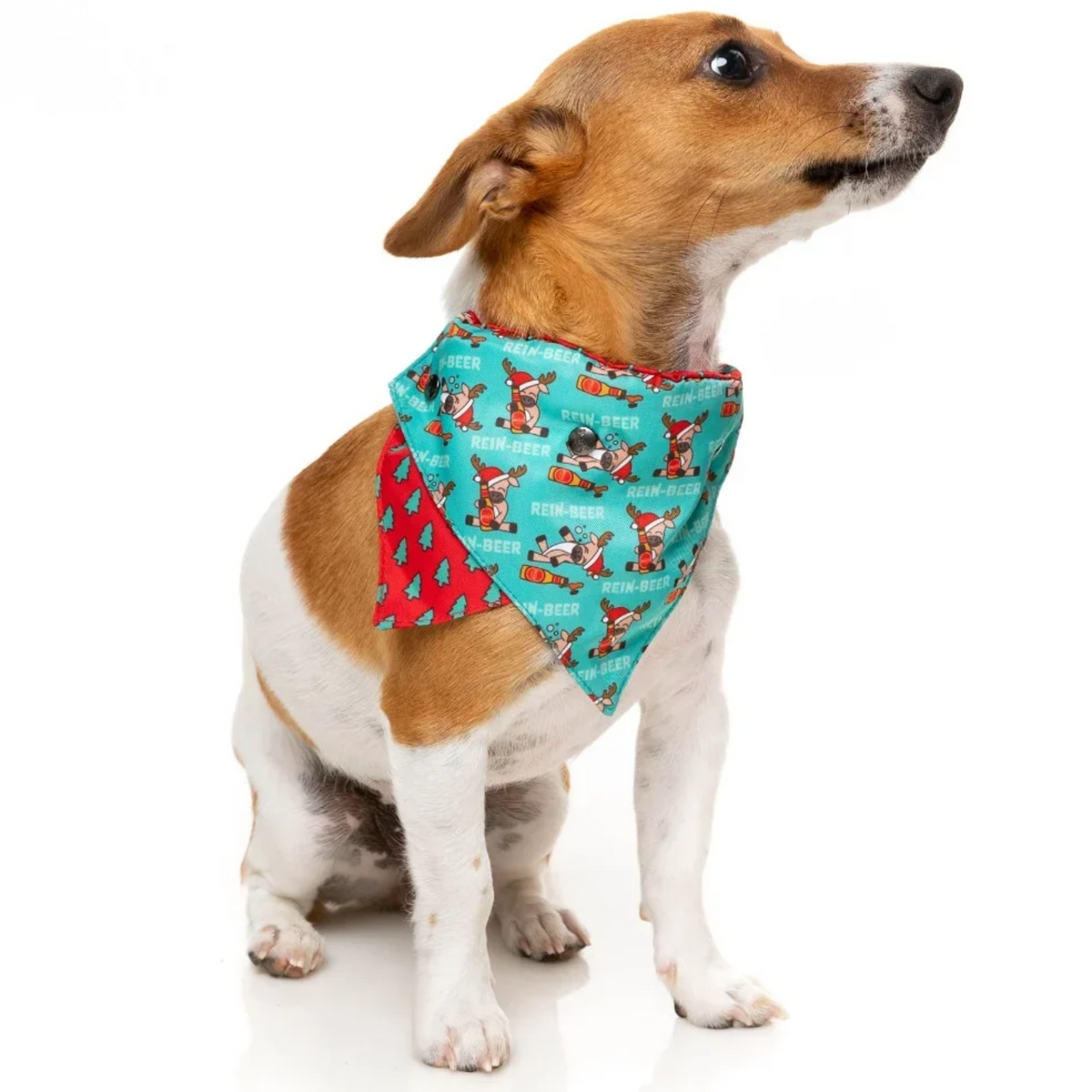 Fuzzyard Holiday Too Much Rein-Beer Dog Bandana