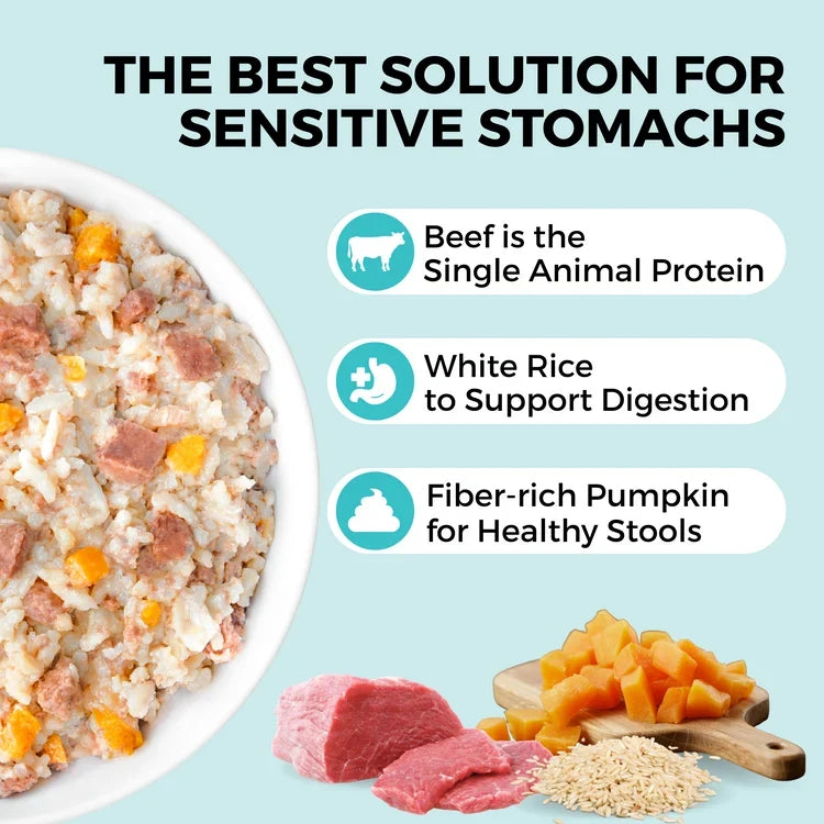 Koha Limited Ingredient Bland Diet Beef & White Rice Recipe for Dogs