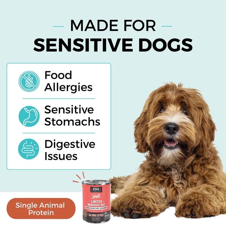 Koha Limited Ingredient Diet Salmon Entrée with Pumpkin Topper for Dogs
