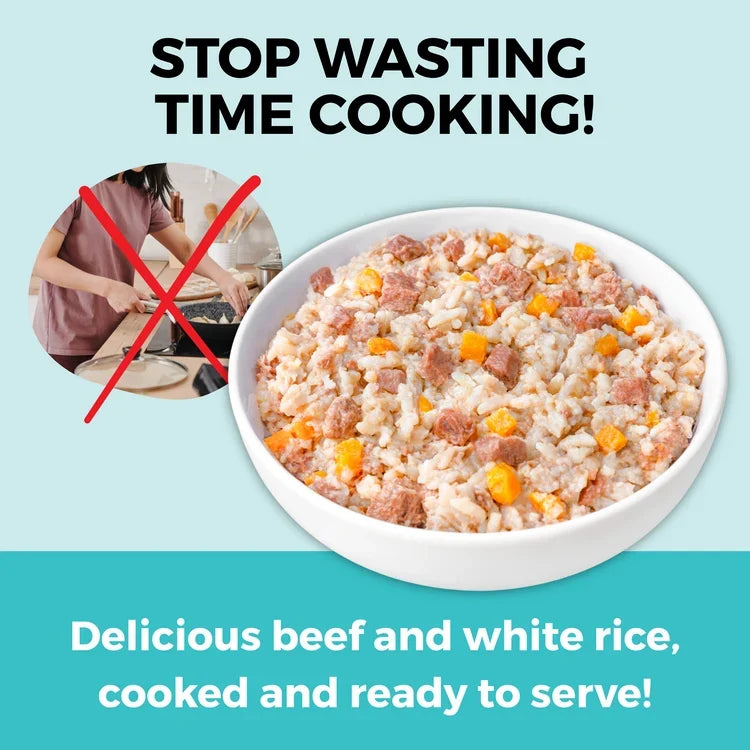 Koha Limited Ingredient Wet Bland Diet Lamb & White Rice With Pumpkin Recipe for Dogs