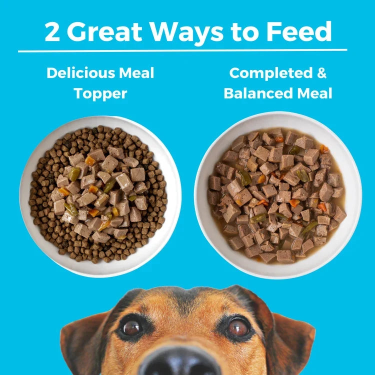 Koha Greek Island Grill Slow Cooked Chicken & Lamb Stew Canned Dog Food