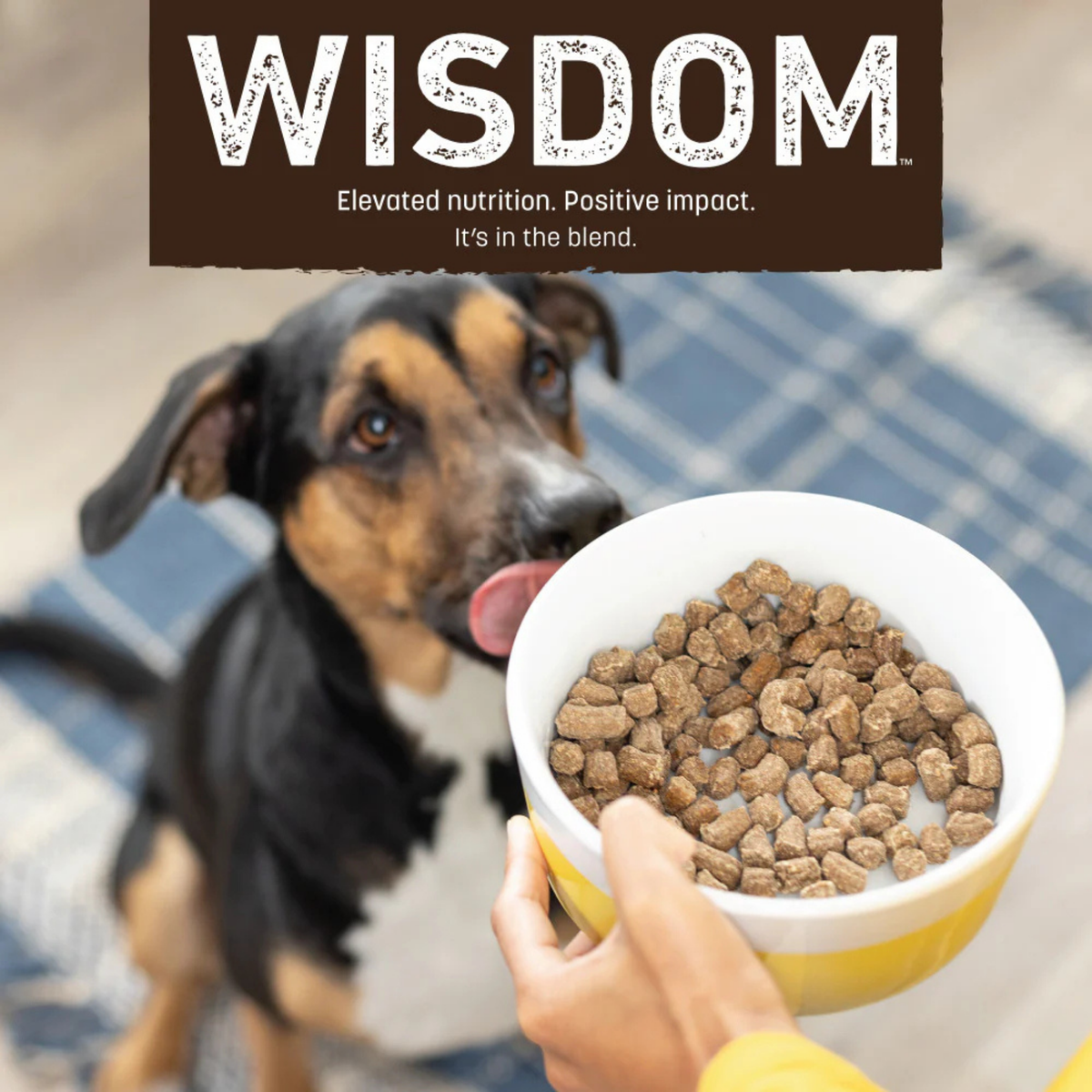 Earth Animal Wisdom Air-Dried Chicken Recipe Dog Food 2 lb