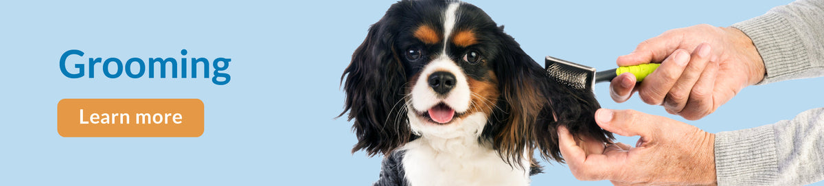 Chow Hound Pet Supplies