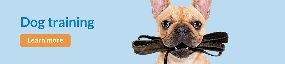 Chow Hound Pet Supplies